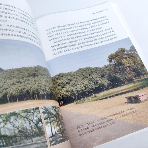 《科坛趣话：科学、科学家与科学家精神》 商品图11