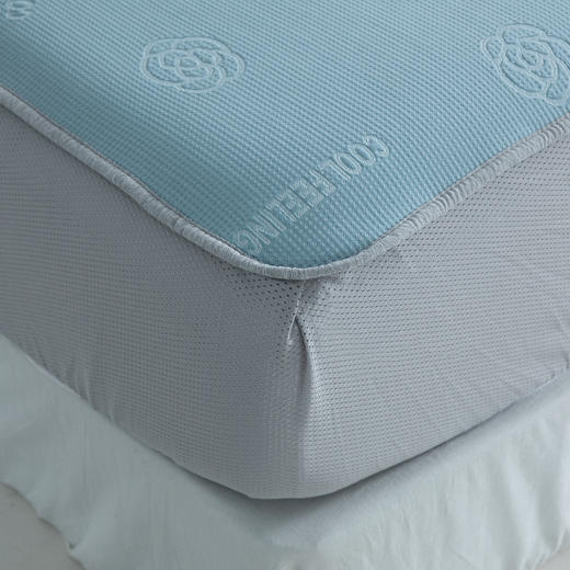 新品上市  凉感席三件套（床笠款） 商品图1