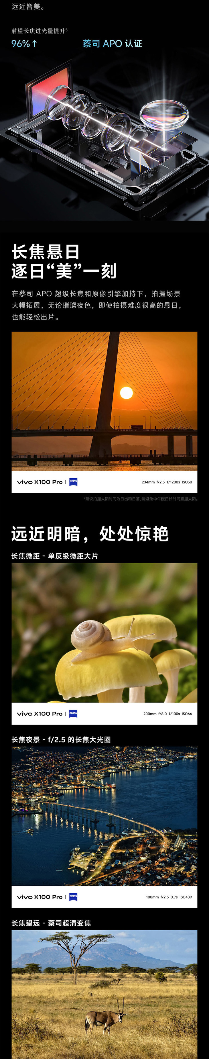 vivo-X100-Pro-750_05