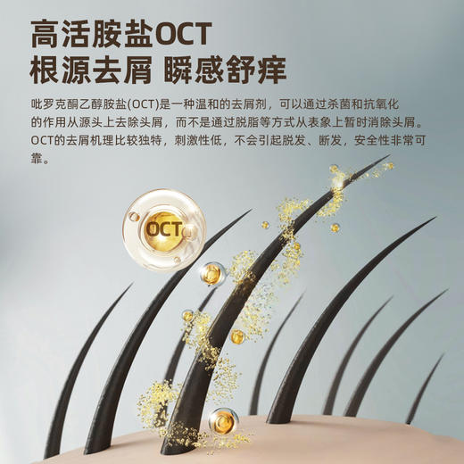 自营（帕达诺）-青少年去屑洗发水380ml 商品图3