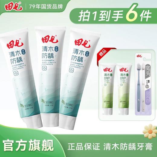 田七牙膏清木皓齿沁爽牙膏清新口气清洁口腔益生元清火防龋正品 商品图1