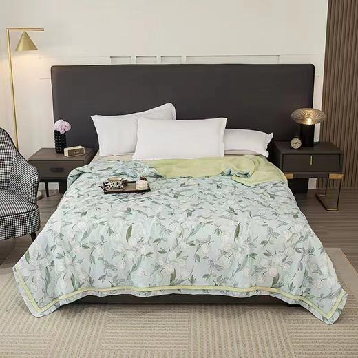 罗曼罗兰天丝夏被200x230cm 商品图0