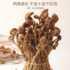 福东海 茶树菇150克 山珍菌菇干货茶树蘑菇煲汤炒菜火锅食材 商品缩略图5