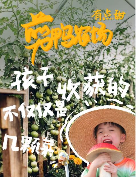 剪鸭农场（半年托管班&半年走读班） 商品图0