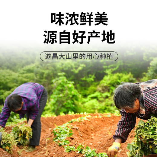 【分销】高山小香薯 2500克/箱 商品图3