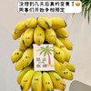 好玩好吃好看香蕉【禁止蕉绿】打工人自己的专属绿植 🌲.神仙工位的新宠!水培芭蕉小胖蕉，没熟之前是绿植 熟了之后是水果！ 商品缩略图1