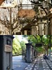 西洋花园官邸与中国江南园林独特建筑场地 商品缩略图2
