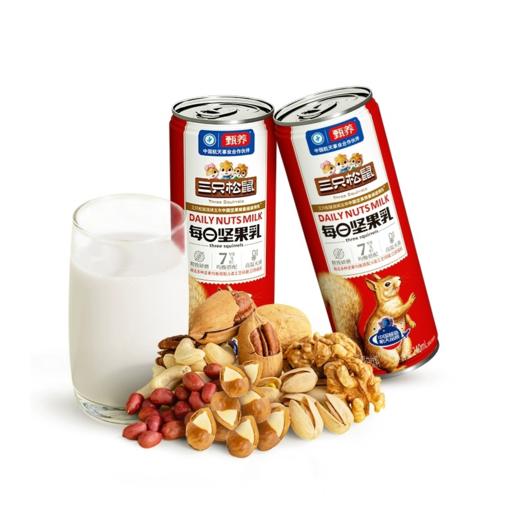 三只松鼠 每日坚果乳240ml 商品图0