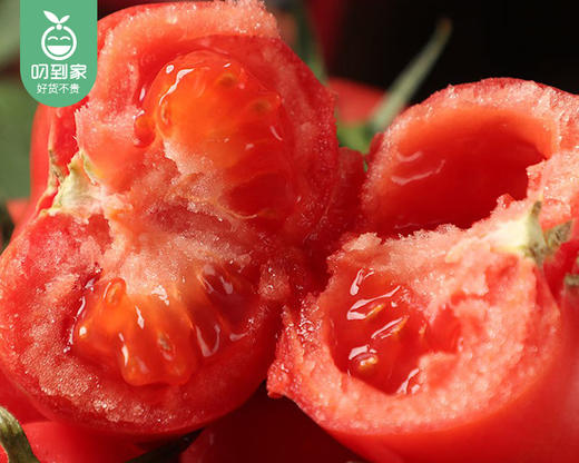 【预售-4月8日配送】陕西泾阳普罗旺斯番茄/1箱（9-17枚，共2kg±100g） 商品图4