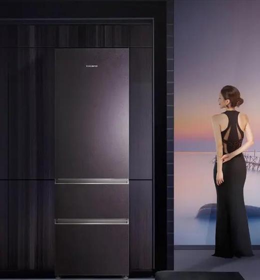 卡萨帝冰箱 商品图0