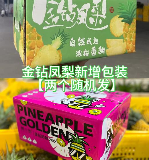 海南金钻凤梨（4.5斤左右2-3粒）新老包装随机发货【社群】 商品图3