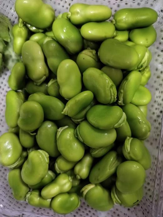 新鲜蚕豆仁250g（带皮）又叫兰花豆，带硬壳的不易氧化更新鲜哦 商品图4