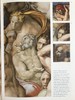 米开朗基罗《最后的审判》复原 154幅插图（150幅彩色） 精装大16开 商品缩略图9