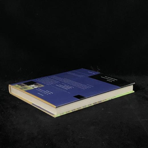 重组的眼睛：后摄影时代的视觉真相 200余幅插图 精装16开 商品图2