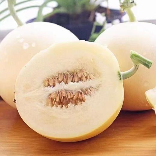 头茬阎良甜瓜 | 山人优选，产地头茬瓜，果肉细腻、清新多汁、甜而不腻 商品图3