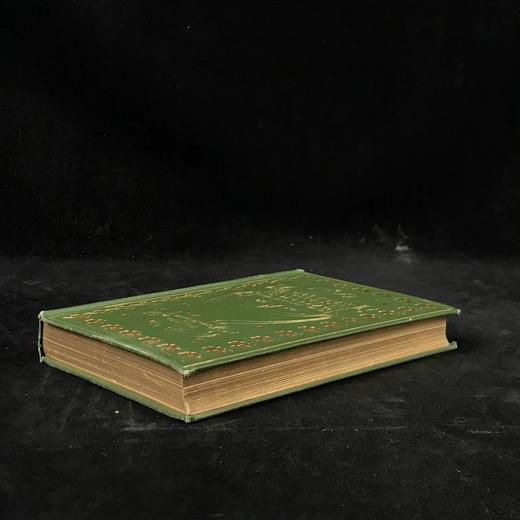 1902年 凯特·道格拉斯·威金《佩内洛普的爱尔兰经历》  C.E.布洛克数十幅插图 漆布精装32开 商品图1