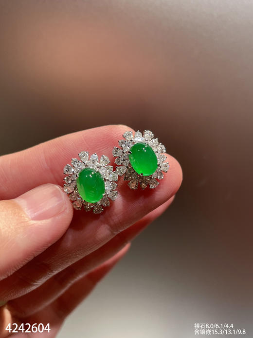高冰艳绿蛋面耳钉【4242604】具体价格微信咨询 商品图8