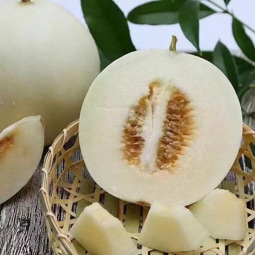 头茬阎良甜瓜 | 山人优选，产地头茬瓜，果肉细腻、清新多汁、甜而不腻 商品图5