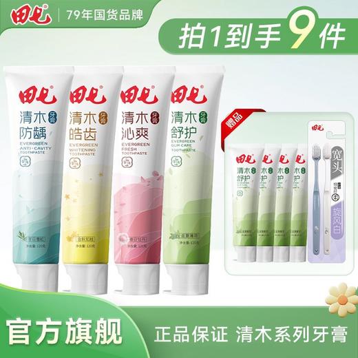 田七牙膏清木皓齿沁爽牙膏清新口气清洁口腔益生元清火防龋正品 商品图0