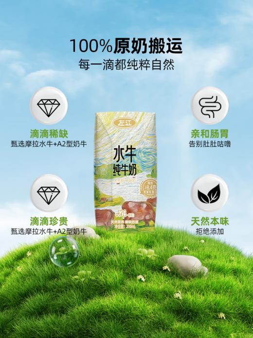 左江a2β-酪蛋白水牛纯牛奶  02.15 商品图3