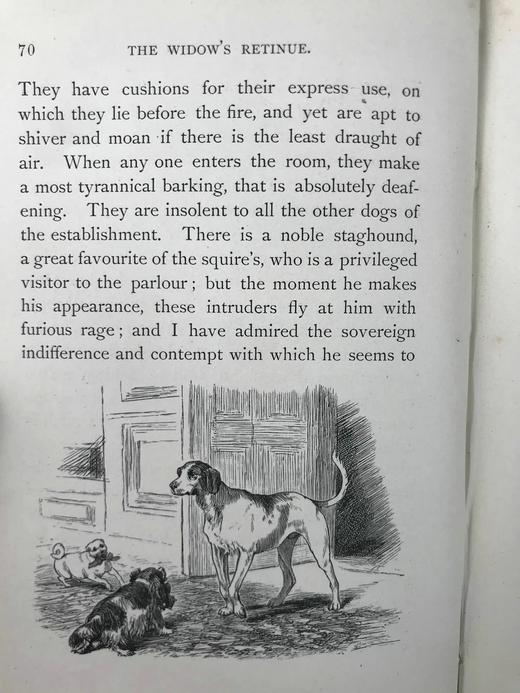 1877年 华盛顿·欧文《布雷斯布里奇田庄》 百余幅插图 漆布精装32开 商品图14