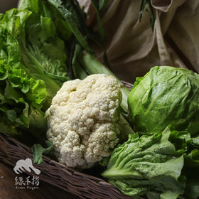 生态洛阳蔬菜箱（可自选，加入购物车，满5件一起结算） | 合作生产* ecological   | Coproduction