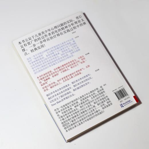 儿童青少年心理治疗 原著第3版 商品图3