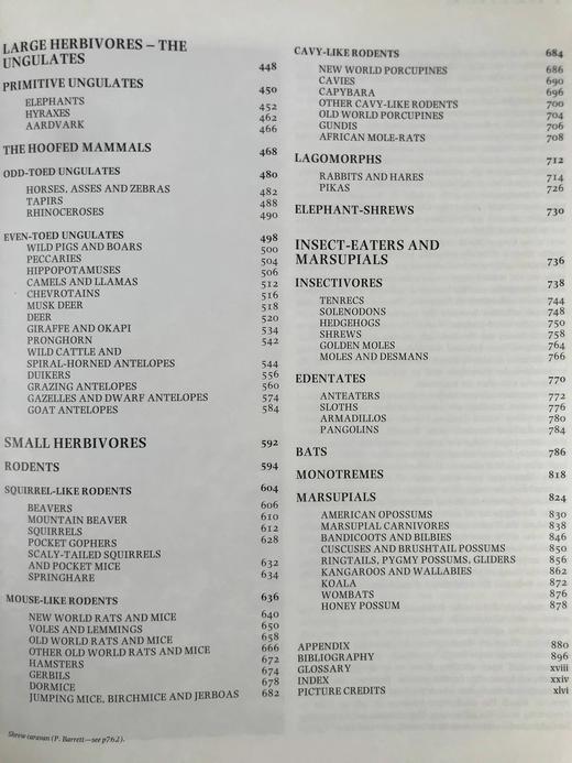 哺乳动物百科全书（1999） 800幅彩色插图 精装16开 商品图6