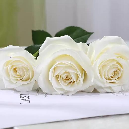 新鲜鲜花  骄傲白玫瑰1束（10支） 商品图1
