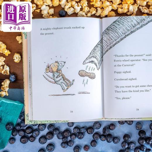 【中商原版】Matthew Cordell 面包鼠与波波鼠4册 Cornbread & Popp at the Carnival Museum 英文原版儿童绘本故事图画书 商品图4
