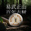 洪海古树 | 2022年蟒蛇菁 古树茶 生普 357g/饼 商品缩略图0