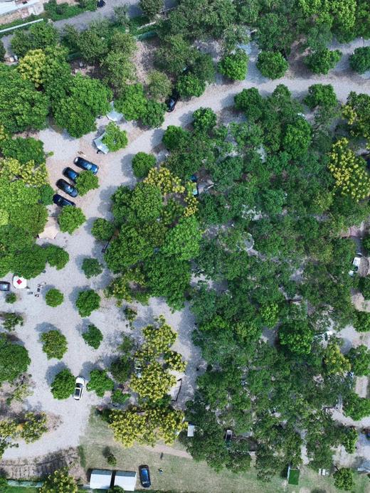 金山区廊下镇星空露营地 商品图4