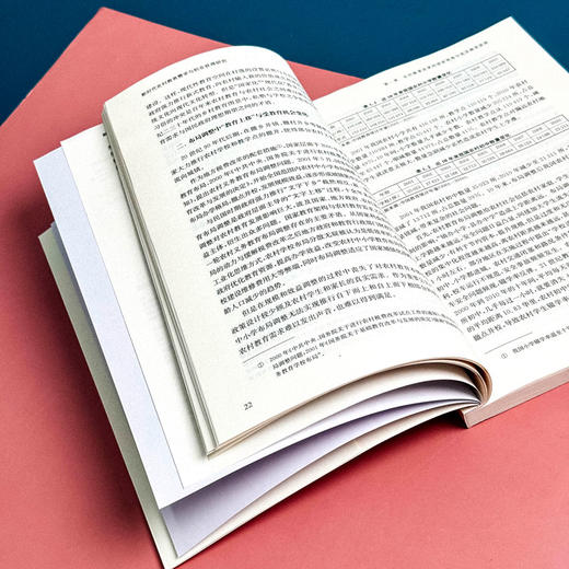 新时代农村教育需求与机会获得研究 张济洲著 促进教育公平 商品图10