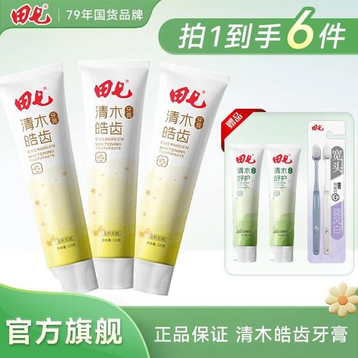 田七牙膏清木皓齿沁爽牙膏清新口气清洁口腔益生元清火防龋正品 商品图2