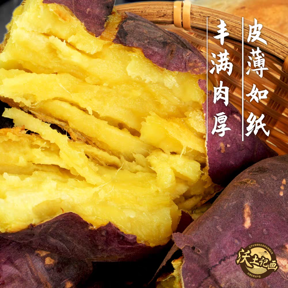 辽西文君甘薯3号精品薯 4.8斤 地瓜