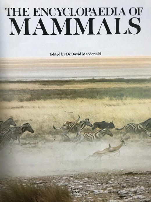 哺乳动物百科全书（1999） 800幅彩色插图 精装16开 商品图3