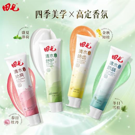田七牙膏清木皓齿沁爽牙膏清新口气清洁口腔益生元清火防龋正品 商品图5