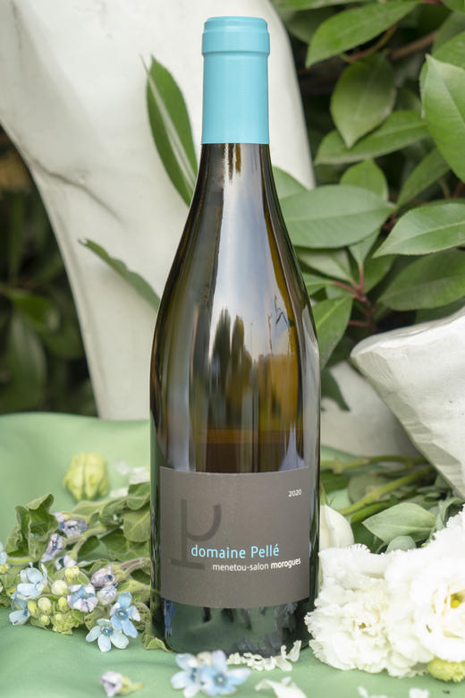 Domaine Pelle Morogues Menetou-Salon White 佩里酒庄莫罗盖干白葡萄酒 商品图1