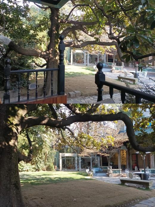 复古风格的西式建筑下洋房草坪 商品图2