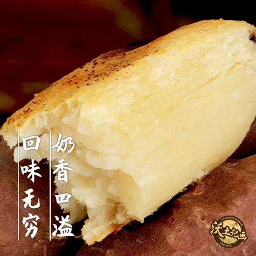 辽西文君甘薯2号精品薯 4.8斤 地瓜 商品图2