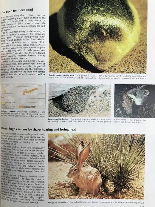 迷人的动物世界 数千幅插图 精装大16开 商品图11