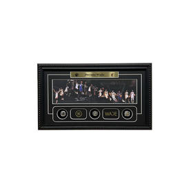 收藏系列 韦德 装饰纪念画（非亲签）