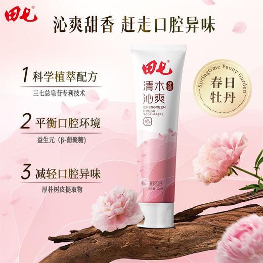 田七牙膏清木皓齿沁爽牙膏清新口气清洁口腔益生元清火防龋正品 商品图6