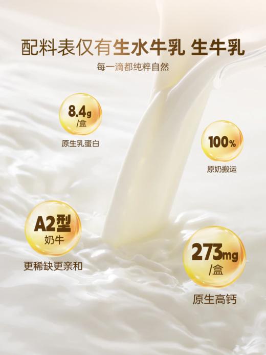 左江a2β-酪蛋白水牛纯牛奶  02.15 商品图1