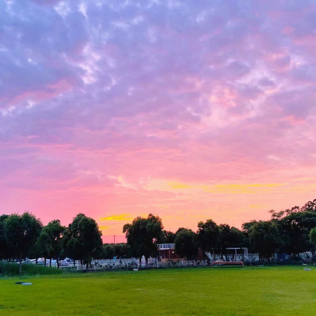 金山区廊下镇星空露营地