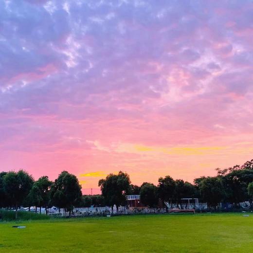 金山区廊下镇星空露营地 商品图0