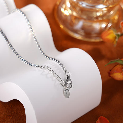 子佩集S925银【小世界】项链【CY801899】纯银原创22404 商品图2
