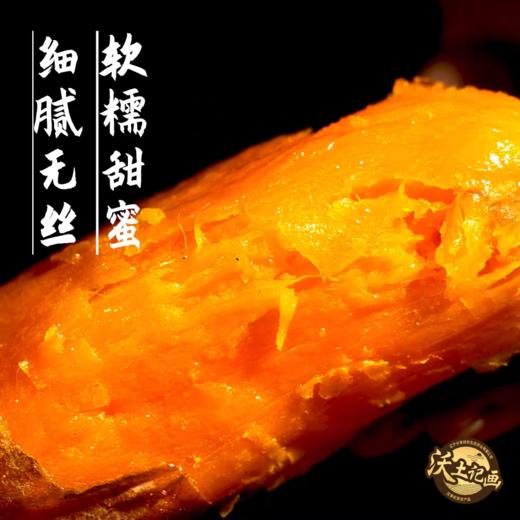 辽西文君甘薯1号精品薯 4.8斤 地瓜 商品图1