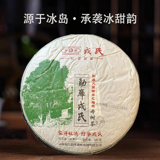 勐库戎氏 | 2016年 母树茶 500g/饼 商品图0