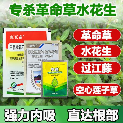 防治顽固水花生套餐三合一1桶水 一年生阔叶杂草烂根死根型除草剂 商品图1